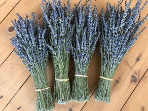 Lavender Bunch Dried French