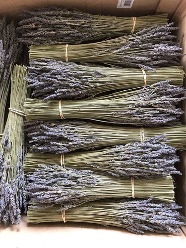 Lavender Bunch Dried French