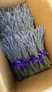 English Lavender Posies Dried each