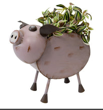 GLAMOUR PIG PLANTER