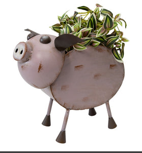 GLAMOUR PIG PLANTER