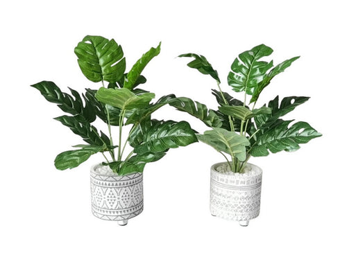 42cm Fern with Moroccan Pot White