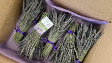 Lavender Bunches for DIY Stripping 5PK