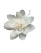 Essential Oil Diffusers