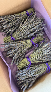 Lavender Bunches for DIY Stripping 5PK