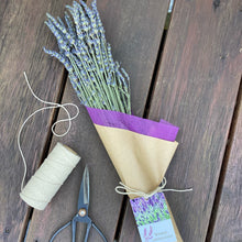 Large Lavender Gift Bunch