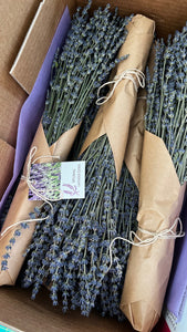 Lavender Bunch Dried French Great Colour