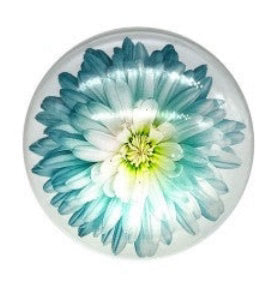 Flower Magnet Glass 5cm