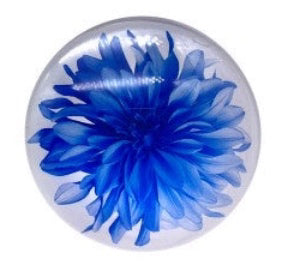 Flower Magnet Glass 5cm