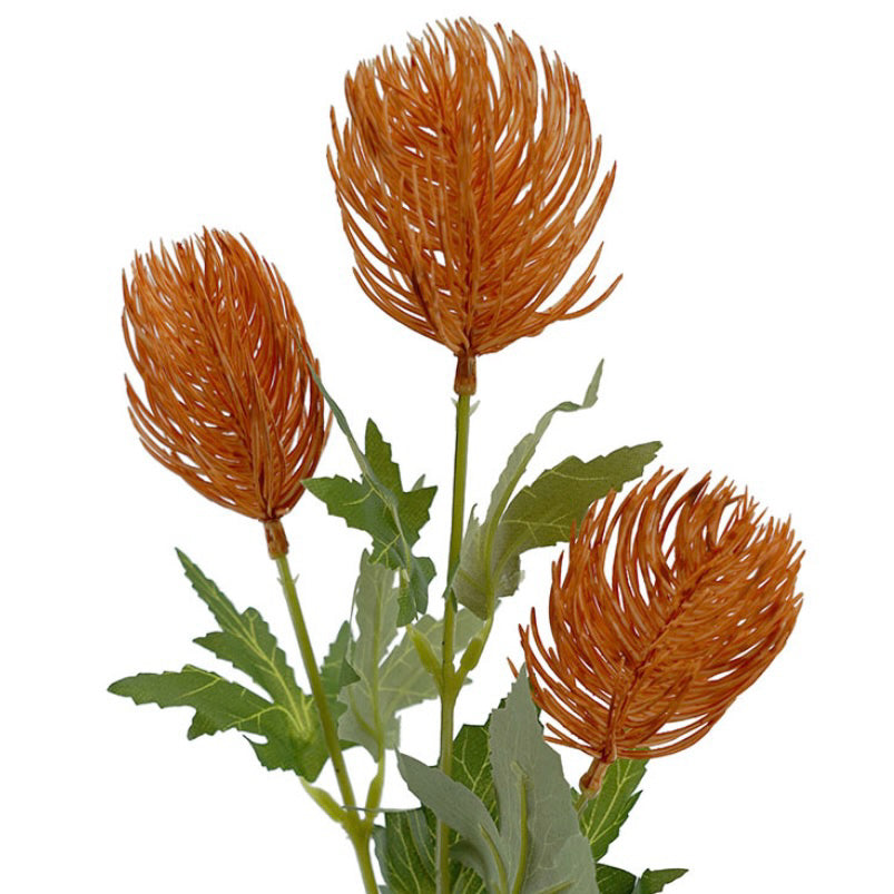 Banksia Spray Orange 60cm