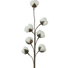 Cotton Spray 70cm