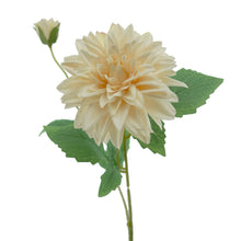 Dhalia Spray Cream 65cm