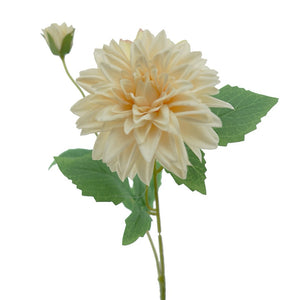 Dhalia Spray Cream 65cm