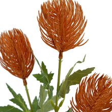 Banksia Spray Orange 60cm