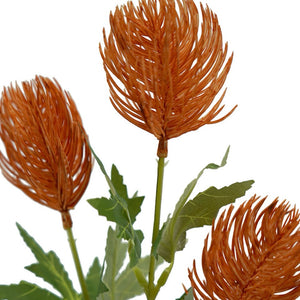 Banksia Spray Orange 60cm
