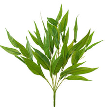 Gumnut Bush 50cm