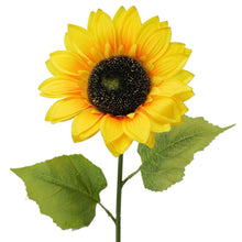 Sunflower 64cm