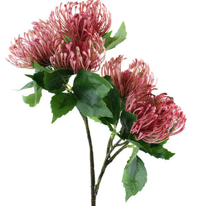Pincushion Protea Spray 52cm
