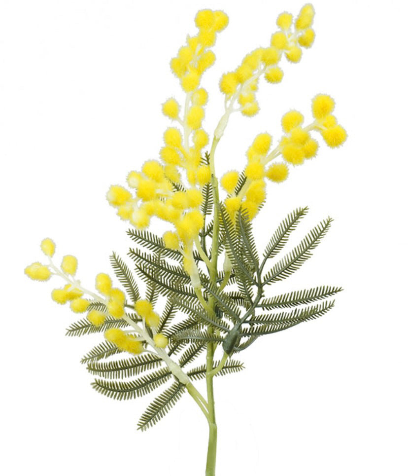 Wattle Pick 58cm