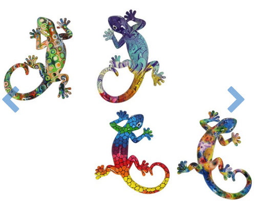 Gecko Lizard Vibrant Colours