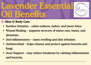 Australian Grown Lavender Essential Oil - French