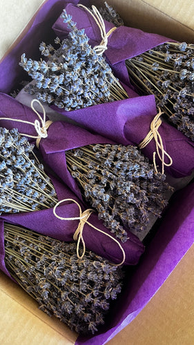 English Lavender Bunch Dried | Wedding Favour | Baby Shower | Funeral Keepsake | Gift