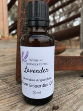 Australian Lavender Essential Oil - English
