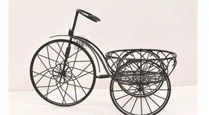 Metal Tricycle
